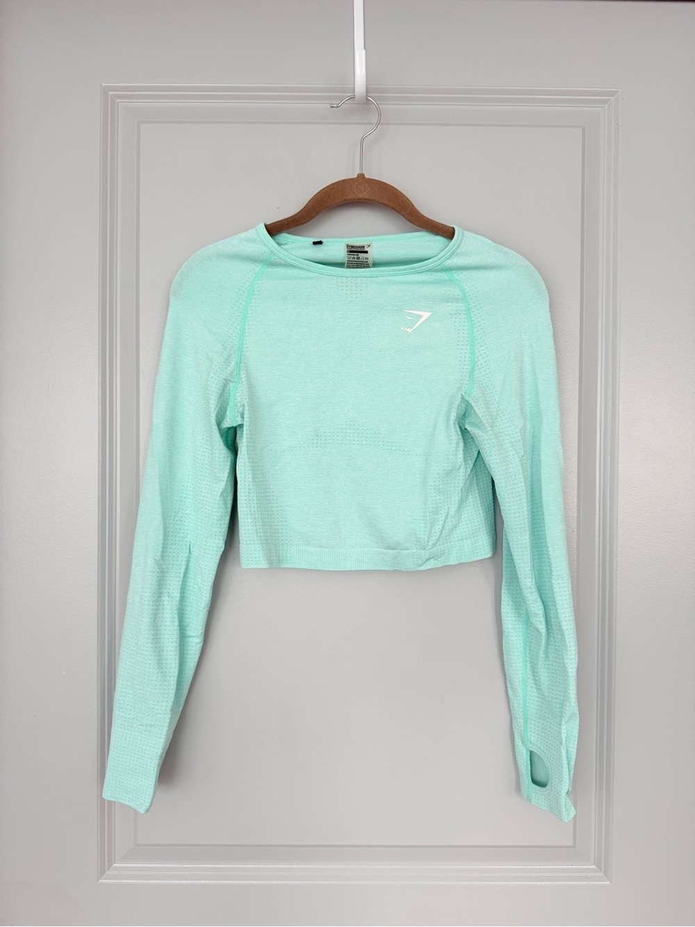 Gymshark Mint Green Long-Sleeve Cropped Seamless Top